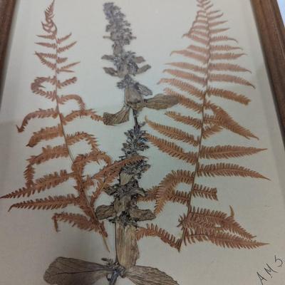 Framed Pressed Flowers