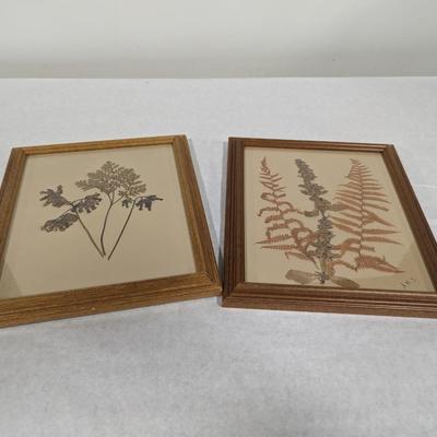 Framed Pressed Flowers