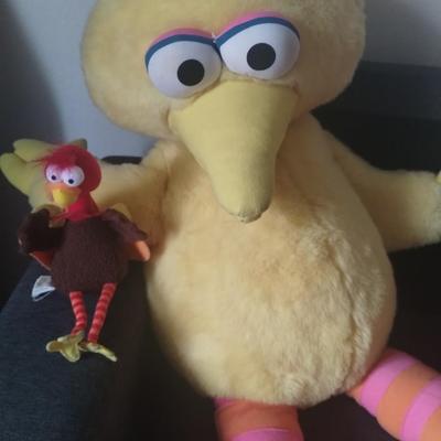 Big Bird vintage great condition