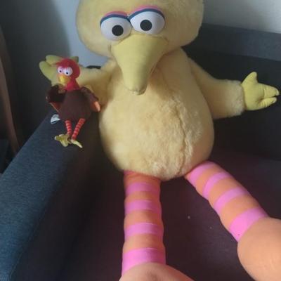 Big Bird vintage great condition