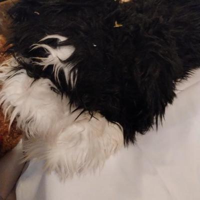 seseme sheet Dog puppet