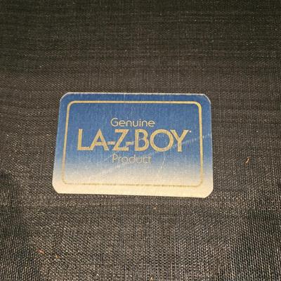 La-Z-Boy Sleeper Sofa (BD-DW)