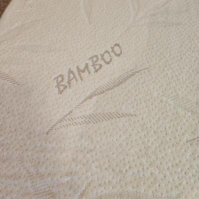 La-Z-Boy Sleeper Sofa (BD-DW)