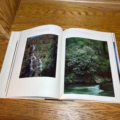 Local Interest Books - ‘Look Up Asheville’, Blue Ridge Parkway Guides & More (LR-RG)