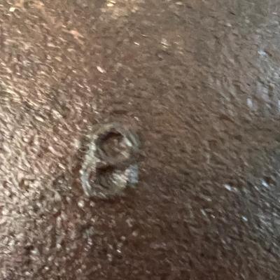 #8 Cast Iron Cowboy Camp Fire Camping Kettle Cauldron (LR-RG)