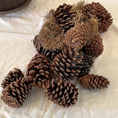 #8 Cast Iron Cowboy Camp Fire Camping Kettle Cauldron (LR-RG)