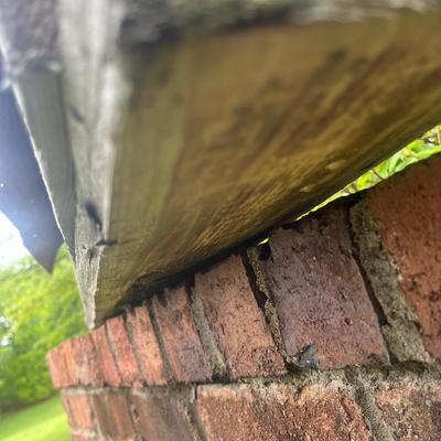 Large Birdhouse (OY-MG)