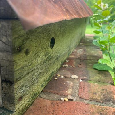 Large Birdhouse (OY-MG)