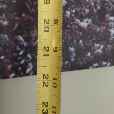 Print of Canvas Atlanta Falcons Football Dome Stadium (T)