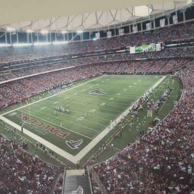 Print of Canvas Atlanta Falcons Football Dome Stadium (T)