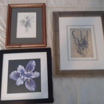 Set of Three Framed Floral Themed Art Prints (T)