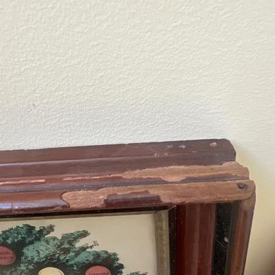 Currier & Ives ‘The Tree of Temperance’ & More Folk-Art Prints (UB1-DZ)