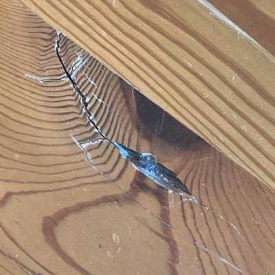 Farm House Dining Table Plus Eight Chairs (DR-RG)