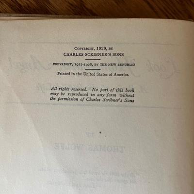 Thomas Wolfe, Hemingway & More Vintage Books (LR-RG)