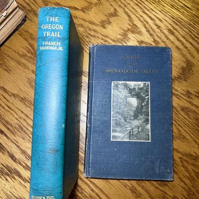 Thomas Wolfe, Hemingway & More Vintage Books (LR-RG)