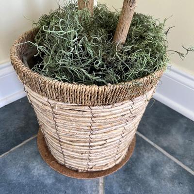 Houseplants - Schefflera & English Ivy (K-RG)