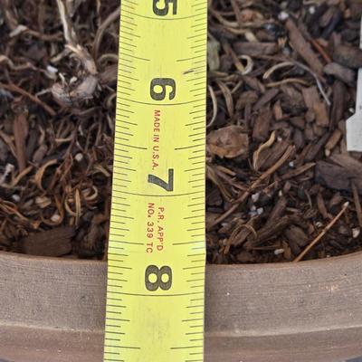 Ceramic Planter