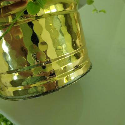 Trailing Jade Plant and Brass and Copper Planters (P-CE)