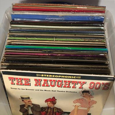 LOT 194: Plastic Record Tote w/ Vinyl Records