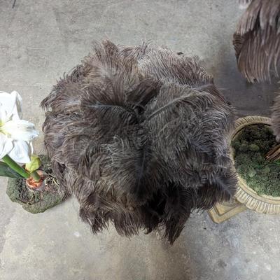 Osterich Feather 'Trees' in Urn Vases