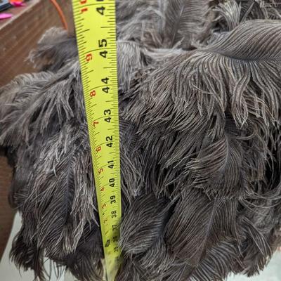 Osterich Feather 'Trees' in Urn Vases