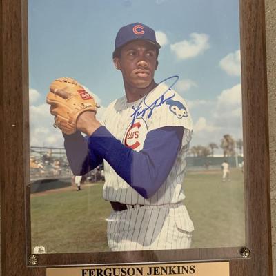 Chicago Cubs Ferguson Jenkins signed photo on wood plaque