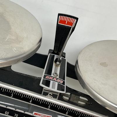 Ohaus Scale
