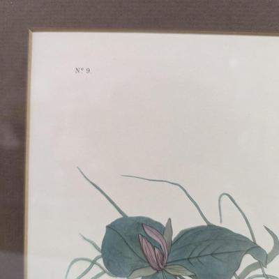 Vintage J. J. Audubon Ruffled Grouse No. 9 Plate XLI