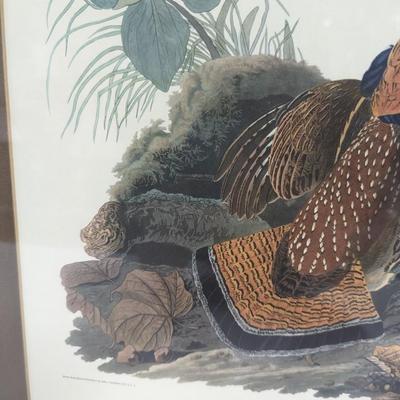 Vintage J. J. Audubon Ruffled Grouse No. 9 Plate XLI