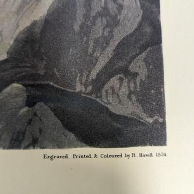 Vintage J. J. Audubon American Green Winged Teal No. 46 Plate CCXXVIII