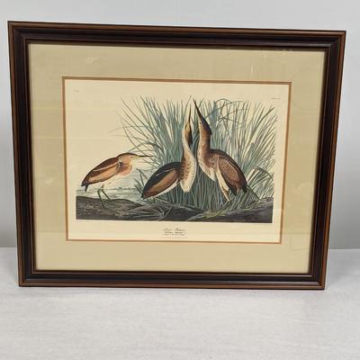 Vintage J. J. Audubon Least Bittern No. 42 Plate CCX