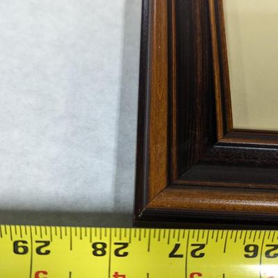 Vintage J. J. Audubon Least Bittern No. 42 Plate CCX