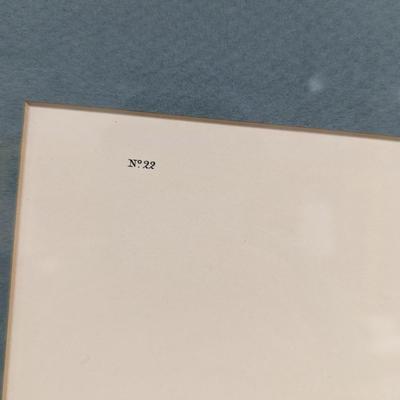 Vintage J. J. Audubon Fair-coloured Sparrow No. 22 Plate CVIII