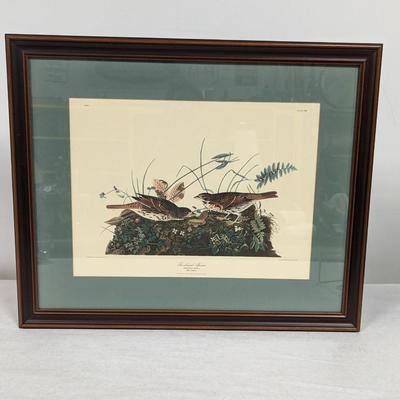 Vintage J. J. Audubon Fair-coloured Sparrow No. 22 Plate CVIII