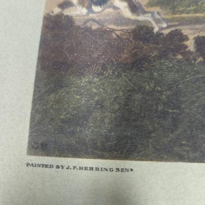 Breaking Cover Print