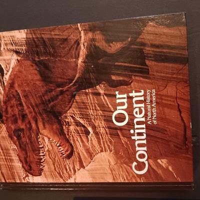 Three coffee table books on America