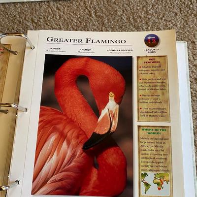 Really Cool Complete Wildlife Explorer Books