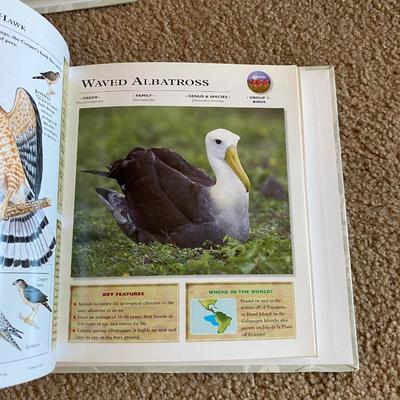 Really Cool Complete Wildlife Explorer Books