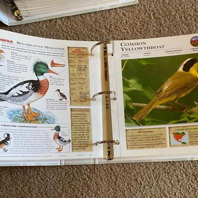 Really Cool Complete Wildlife Explorer Books