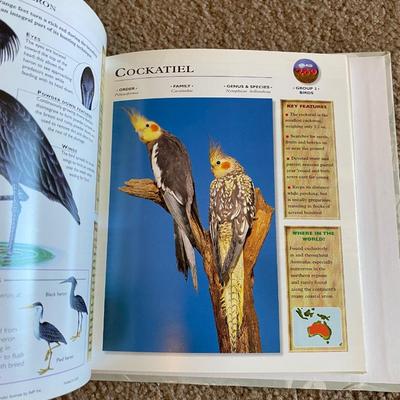 Really Cool Complete Wildlife Explorer Books