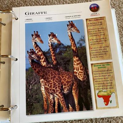 Really Cool Complete Wildlife Explorer Books