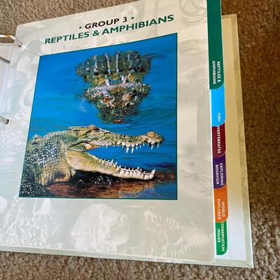 Really Cool Complete Wildlife Explorer Books