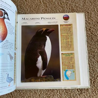 Really Cool Complete Wildlife Explorer Books