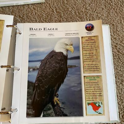 Really Cool Complete Wildlife Explorer Books