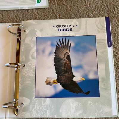 Really Cool Complete Wildlife Explorer Books