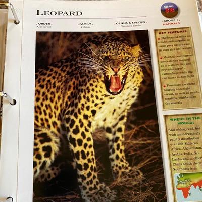 Really Cool Complete Wildlife Explorer Books