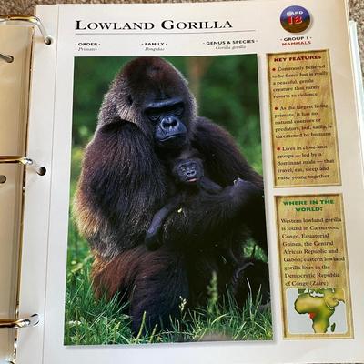 Really Cool Complete Wildlife Explorer Books