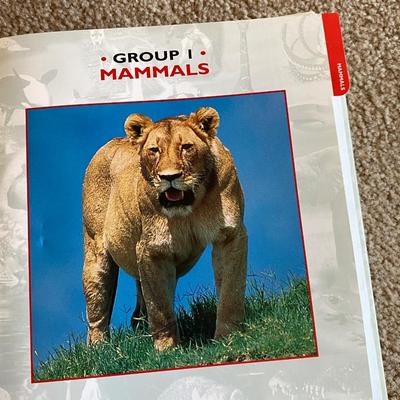 Really Cool Complete Wildlife Explorer Books