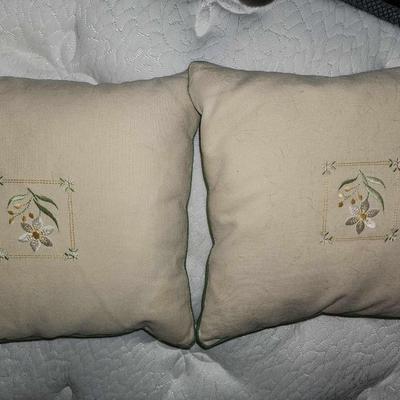 Pair of small throw pillows