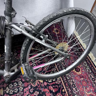 Diamond Back MOUNTAIN BIKE 
